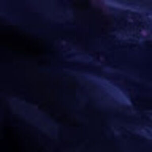 Meet your Posher, Miranda